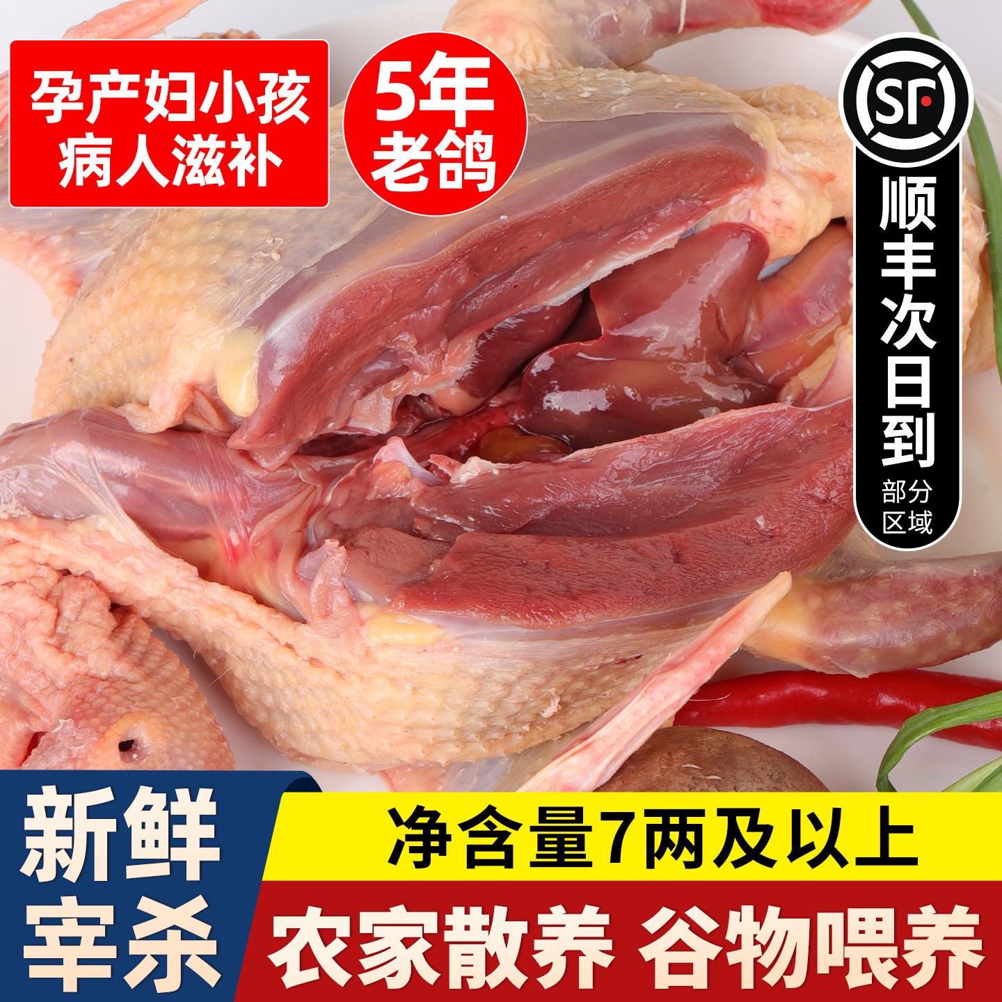 鸽子新鲜现杀正宗农家散养土鸽子生鲜鸽子肉炖汤礼盒装5年老鸽子