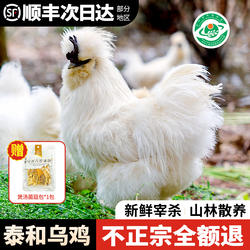 泰和乌鸡旗舰店正宗江西泰和原种乌骨鸡白凤老活鸡土乌鸡新鲜现杀