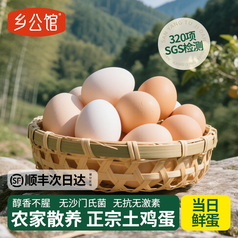 【会员U先试用】乡公馆新鲜土鸡蛋正宗农家散养虫草鸡蛋新鲜10枚,水产肉类/新鲜蔬果/熟食,鸡蛋,淘宝优惠券,粉丝福利购,淘宝优惠卷