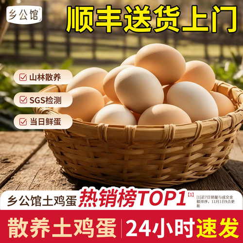 正宗农家散养土鸡蛋新鲜顺丰包邮