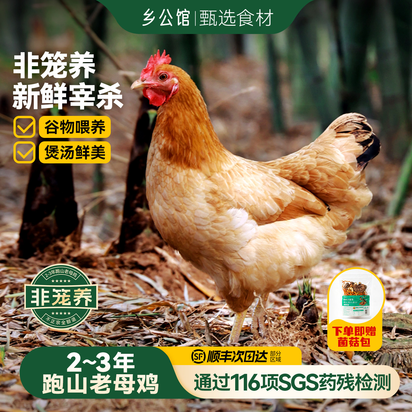 【顺丰】非笼养!新鲜宰杀老母鸡