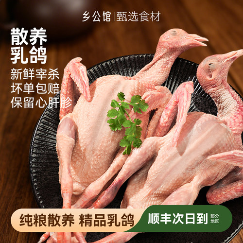 乡公馆现杀现发乳鸽顺丰次日到