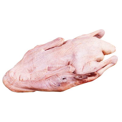 农家散养老鸭子土鸭子麻鸭