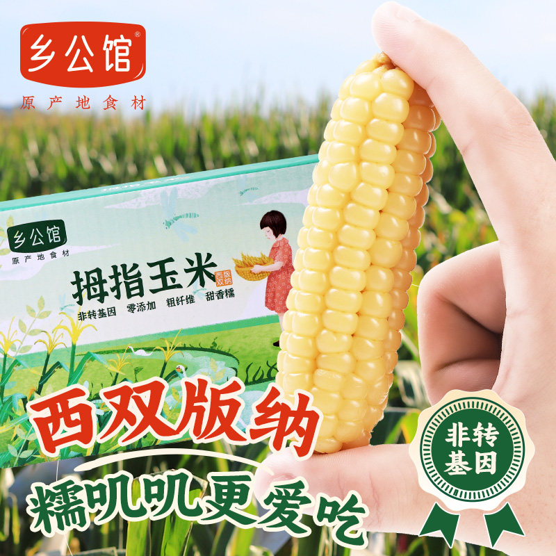 云南拇指玉米低脂辅食宝宝新鲜糯玉米甜嫩香糯手指小玉米早餐真空