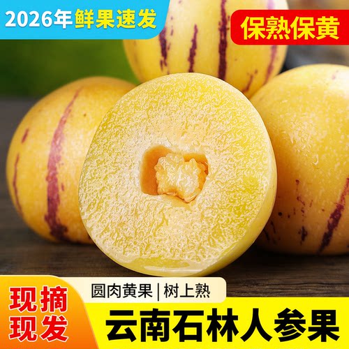 人参果新鲜水果云南石林树上熟黄肉大果整箱人生果正品官方旗舰店