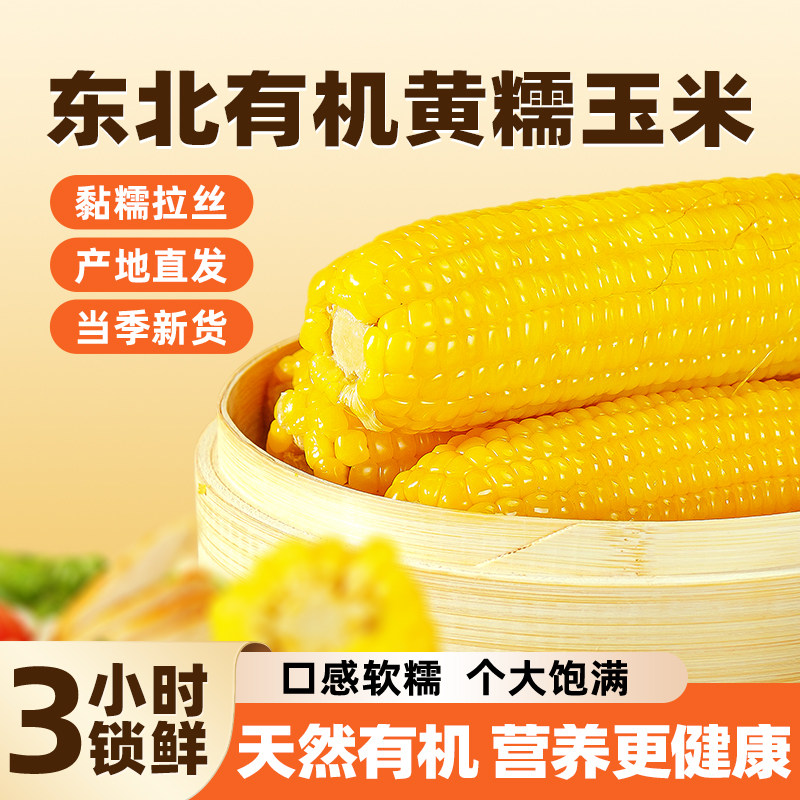 非转基因有机东北有机黄糯玉米