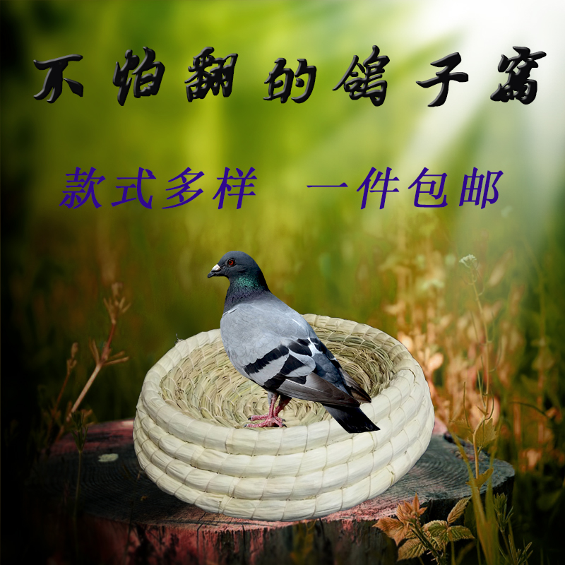 鸽子窝孵蛋专用防侧翻塑料