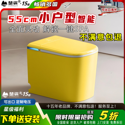 智能马桶小户型小尺寸58cm一体式自动无水压限制多彩色坐便可110V
