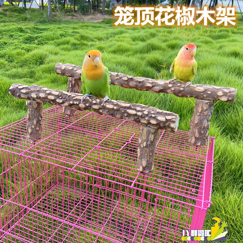 花椒木站杠鹦鹉笼架子站杆图片