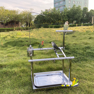 不锈钢双杆鹦鹉站架 桌面站架 玄凤虎皮牡丹不锈钢落地手养训鸟架