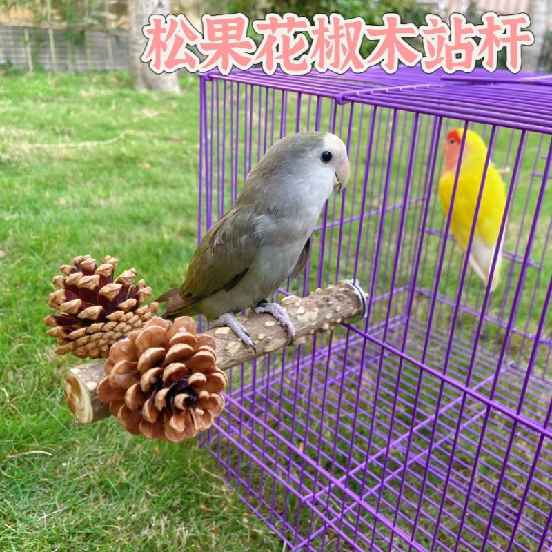 鹦鹉站杆天然花椒木牡丹虎皮玄凤磨爪棒鸟站棍玩具松果啃咬站架