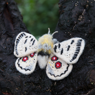 【植作】AFTERFLY原创手工刺绣彩色仿真飞蛾阿波罗绢蝶羊毛毡蝴蝶