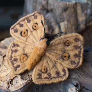 【植作】AFTERFLY原创手工刺绣彩色仿真飞蛾箭环蝶羊毛毡蝴蝶胸针