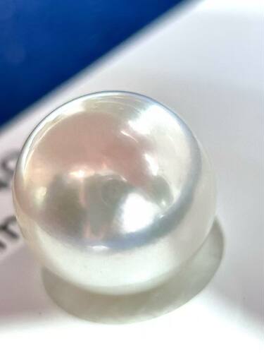 16.2mm天然海水珍珠白色澳白大龙珠收藏级别带吉尔德大证支持看货