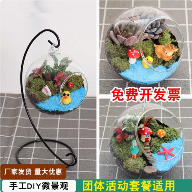 暖场苔藓多肉微景观生态