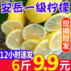 四川安岳柠檬6斤一级新鲜水果现摘应季皮薄香水黄柠檬当季包邮 四川安岳柠檬6斤一级新鲜水果现摘应季皮薄香水黄柠檬当季包邮