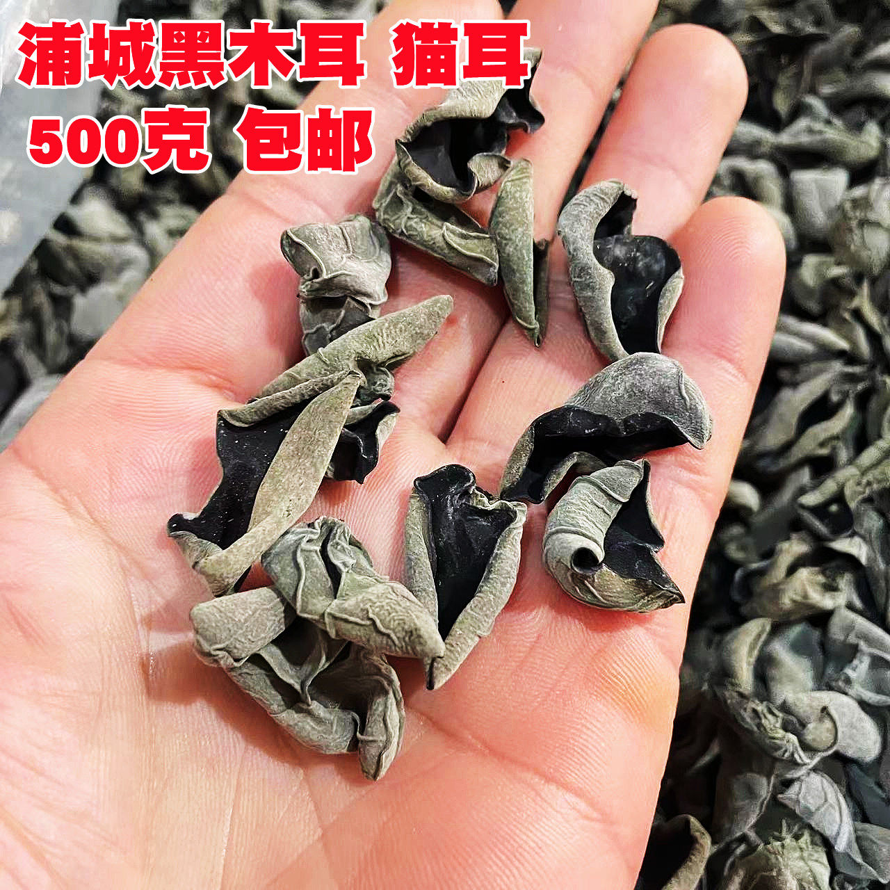 福建黑木耳武夷特产猫耳干货