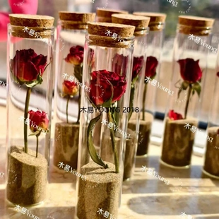 沙漠玫瑰小王子装 瓶青甘西北大环线收纳玻璃小礼物旅游行纪念 沙