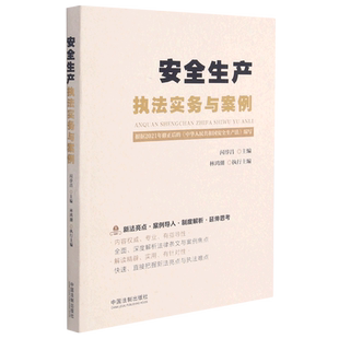 【新华书店正版书籍】安全生产执法实务与案例 闪淳昌 中国法制