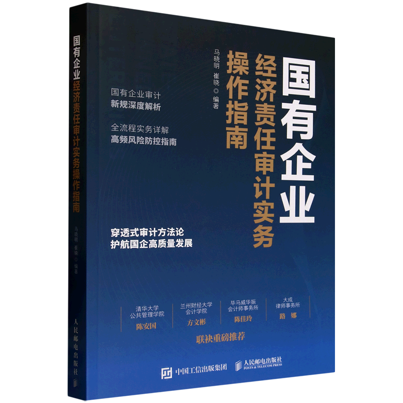 国有企业经济责任审计实务操作指南