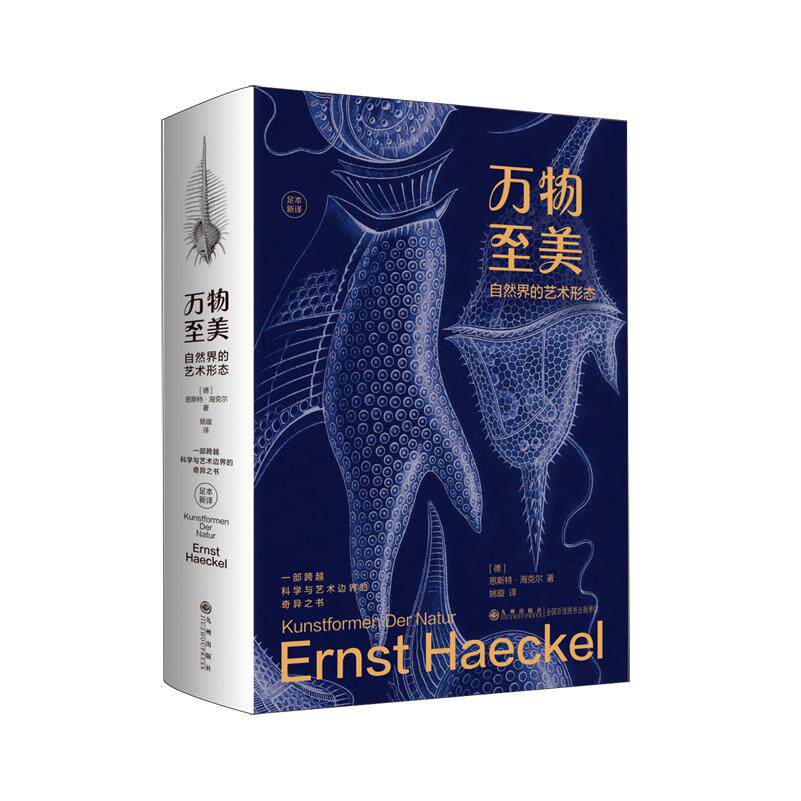 万物至美:自然界的艺术形态