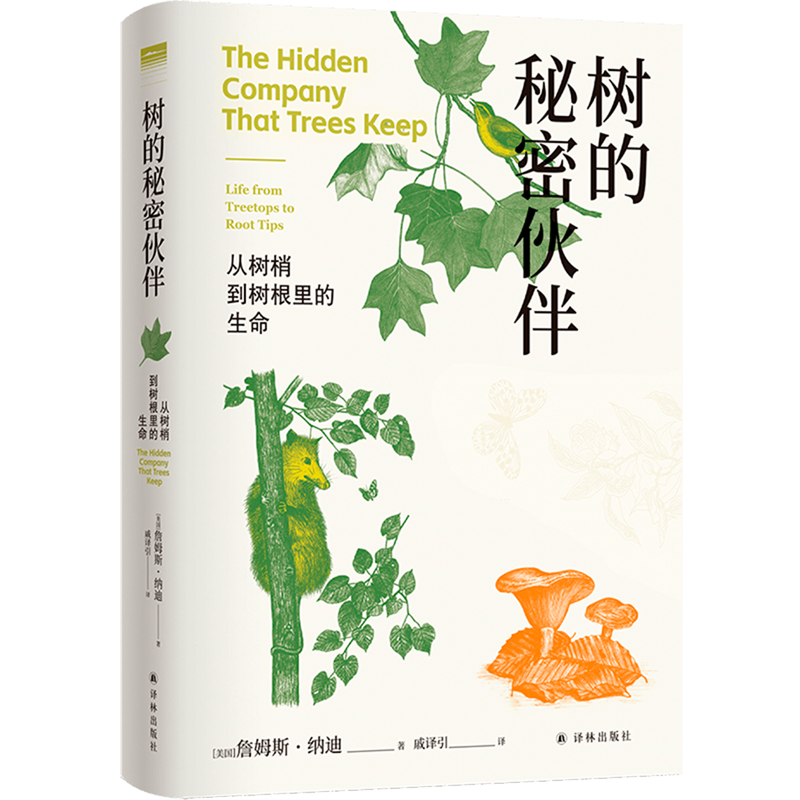 全景呈现树木的“朋友圈”,揭开隐藏在树木
