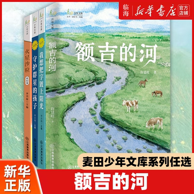 【麦田少年文库系列任选】额吉的河 送绝影回家 火星沙粒 守护群星的孩子 我想把字镀上阳光 许廷旺