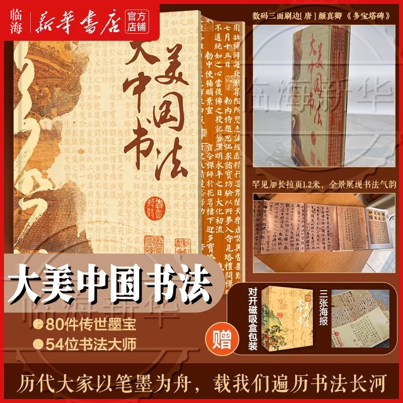 【赠磁吸书盒+海报*3】大美中国书法(精) 何堂艺术 中国国宝书法书书法碑帖鉴赏赏析解读 书法演变王羲之颜真卿柳公权艺术鉴赏书法