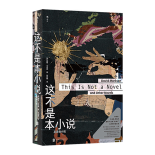 【新华正版】这不是本小说(及其他小说) (美)戴维·马克森 北京联合