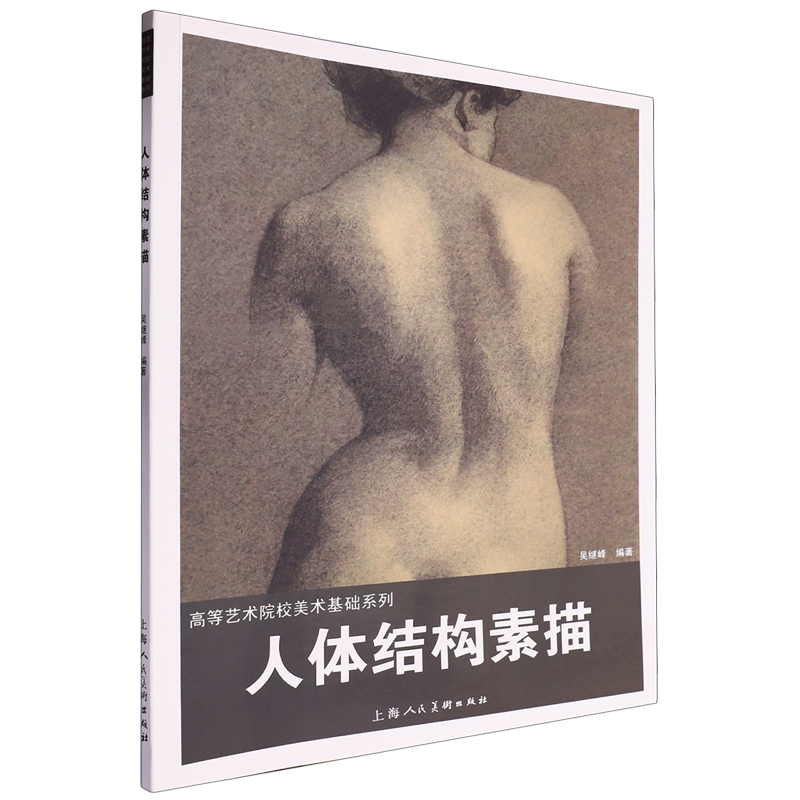 人体结构素描