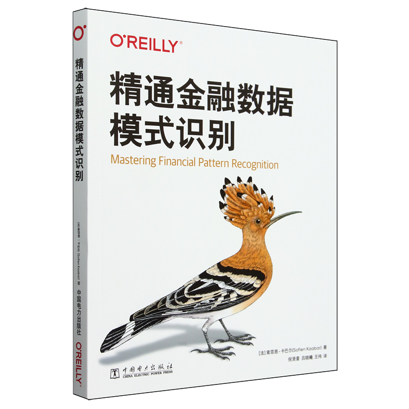 【新华正版】精通金融数据模式识别 (法)索菲恩·卡巴尔 中国电力