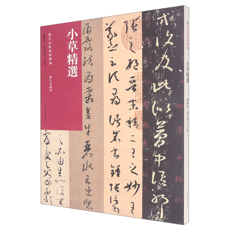 【新华书店正版书籍】小草精选/历代法帖风格类编 陈阳静 河南美术