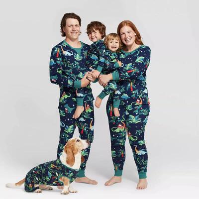 Dinosaur Christmas Pajamas Family Set with Dog Clothes