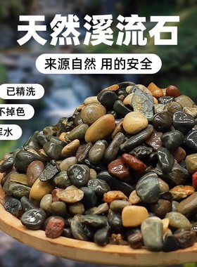 厂家直销原生溪流石鱼缸造景石垫底铺面底砂水族箱专用鹅卵石