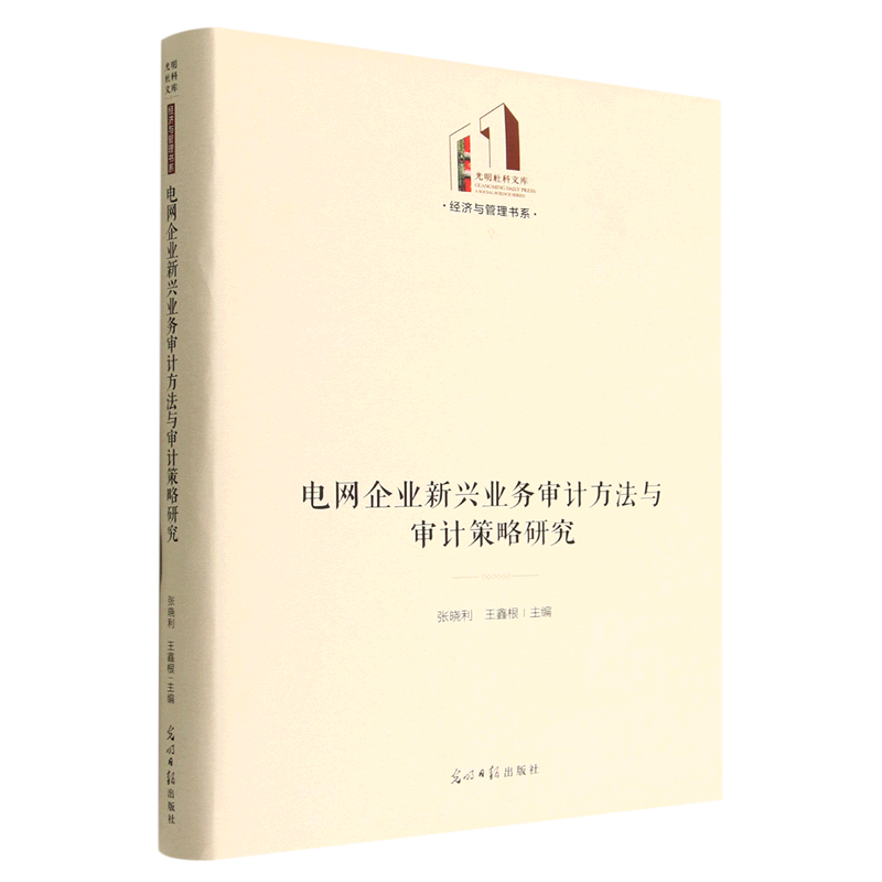 电网企业新兴业务审计方法与审计策略研究(精)/经济与管理书系/光明社科文库