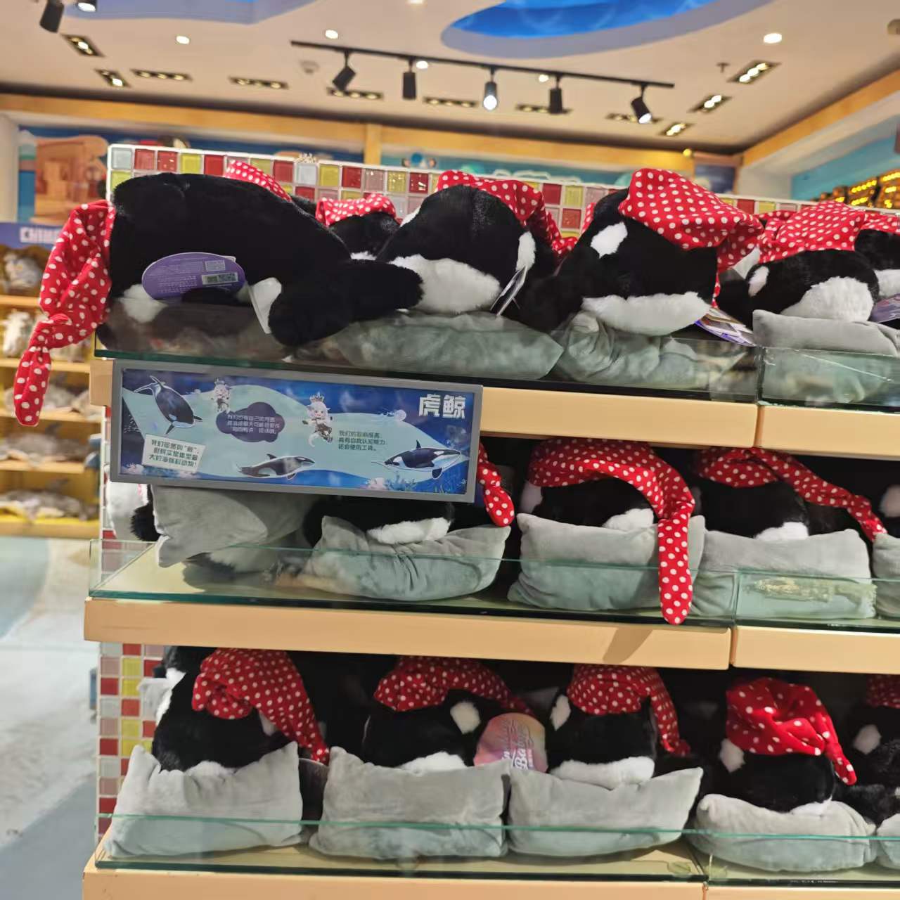 珠海长隆纪念虎鲸毛绒玩具
