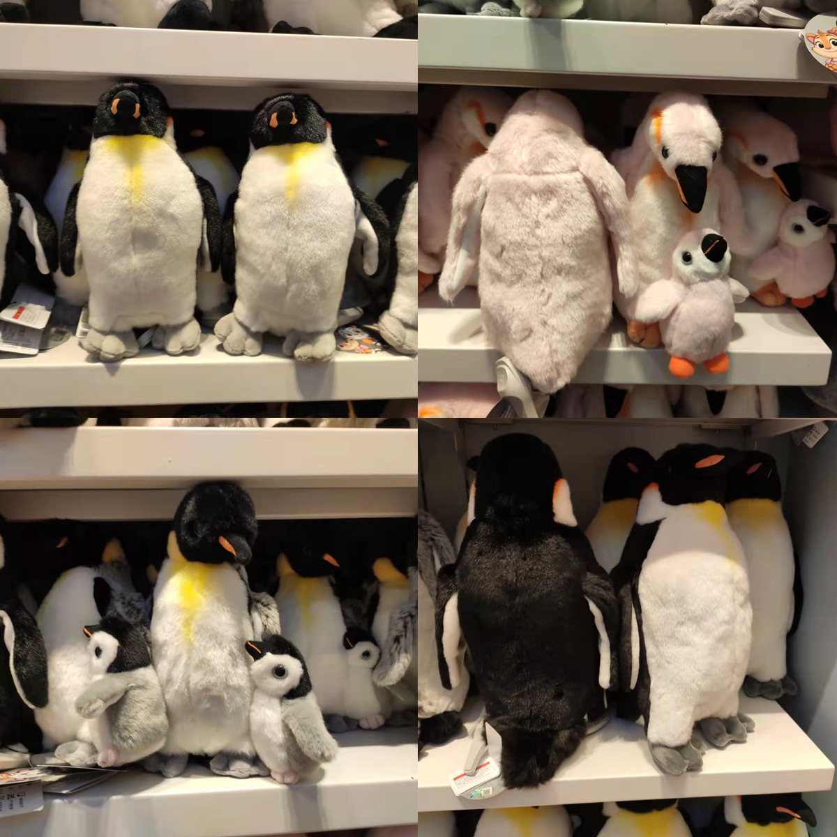 珠海长隆毛绒玩具企鹅礼物