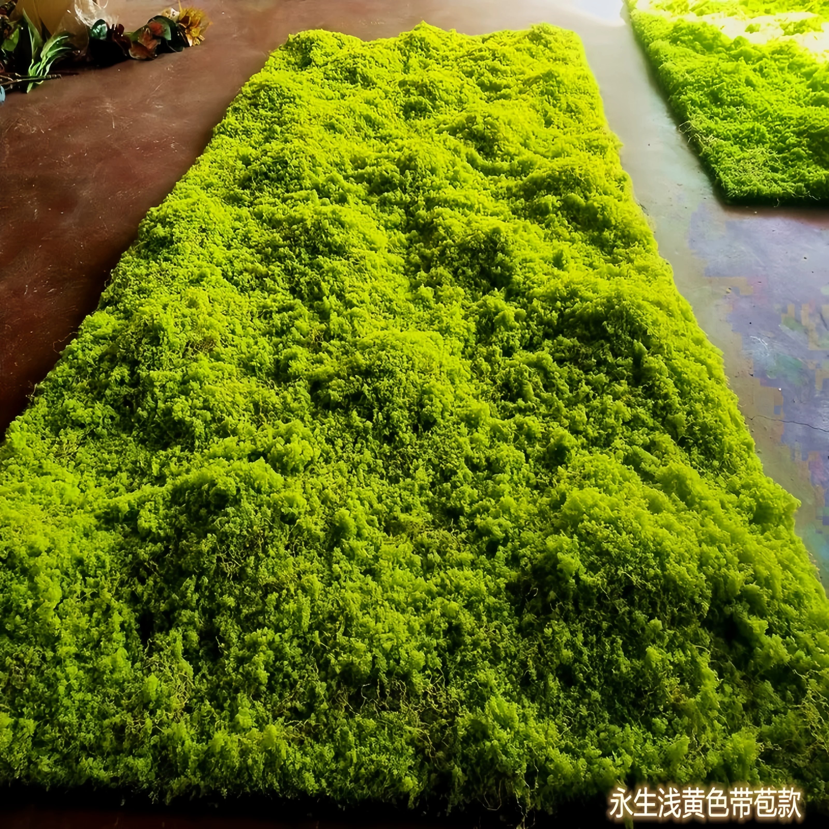 高级仿真苔藓室内景观绿草皮假草坪造景微景观绿植围挡挂墙假青苔