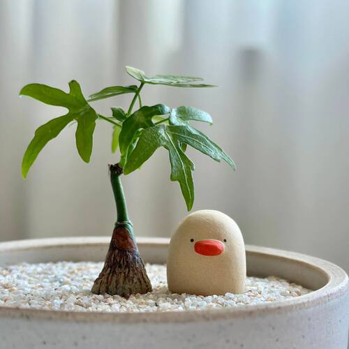 TeeUM陶土压盆石ins石头花盆周边