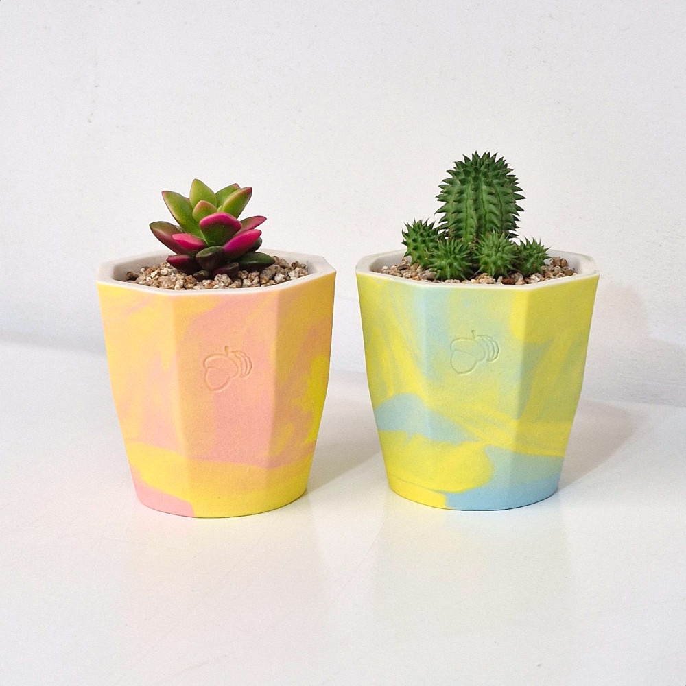 陶土韩国花盆创意花盆TeeUM