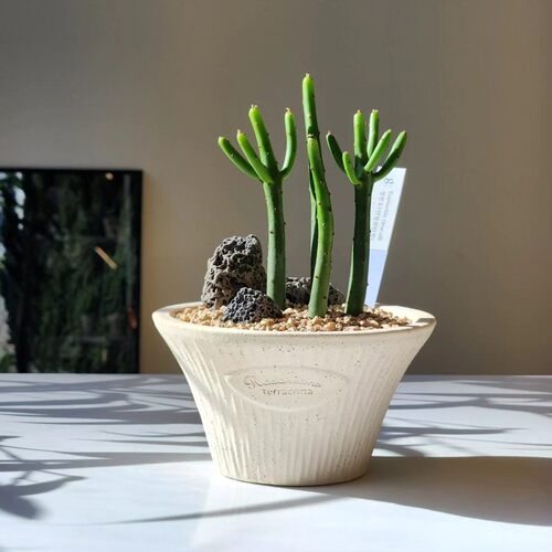 陶土韩国花盆透气排水TeeUM