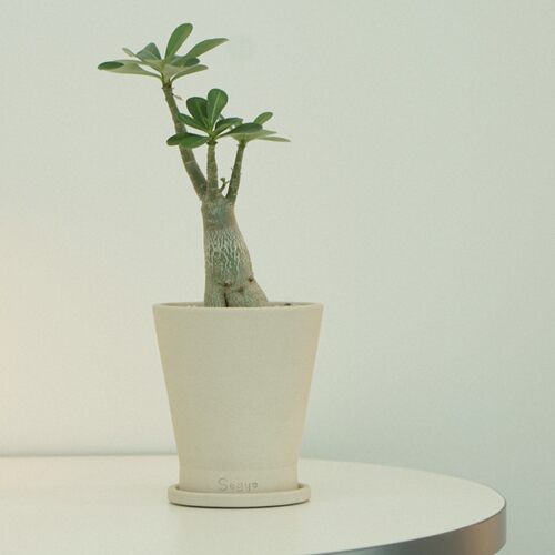 陶土韩国花盆手工TeeUM