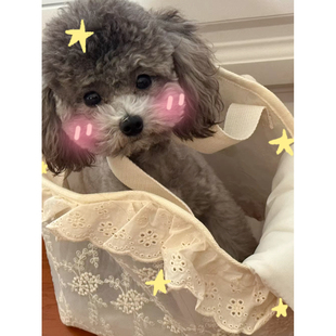 ins网红公主泰迪小型犬外出包便携透气单肩包背包蕾丝手提狗包