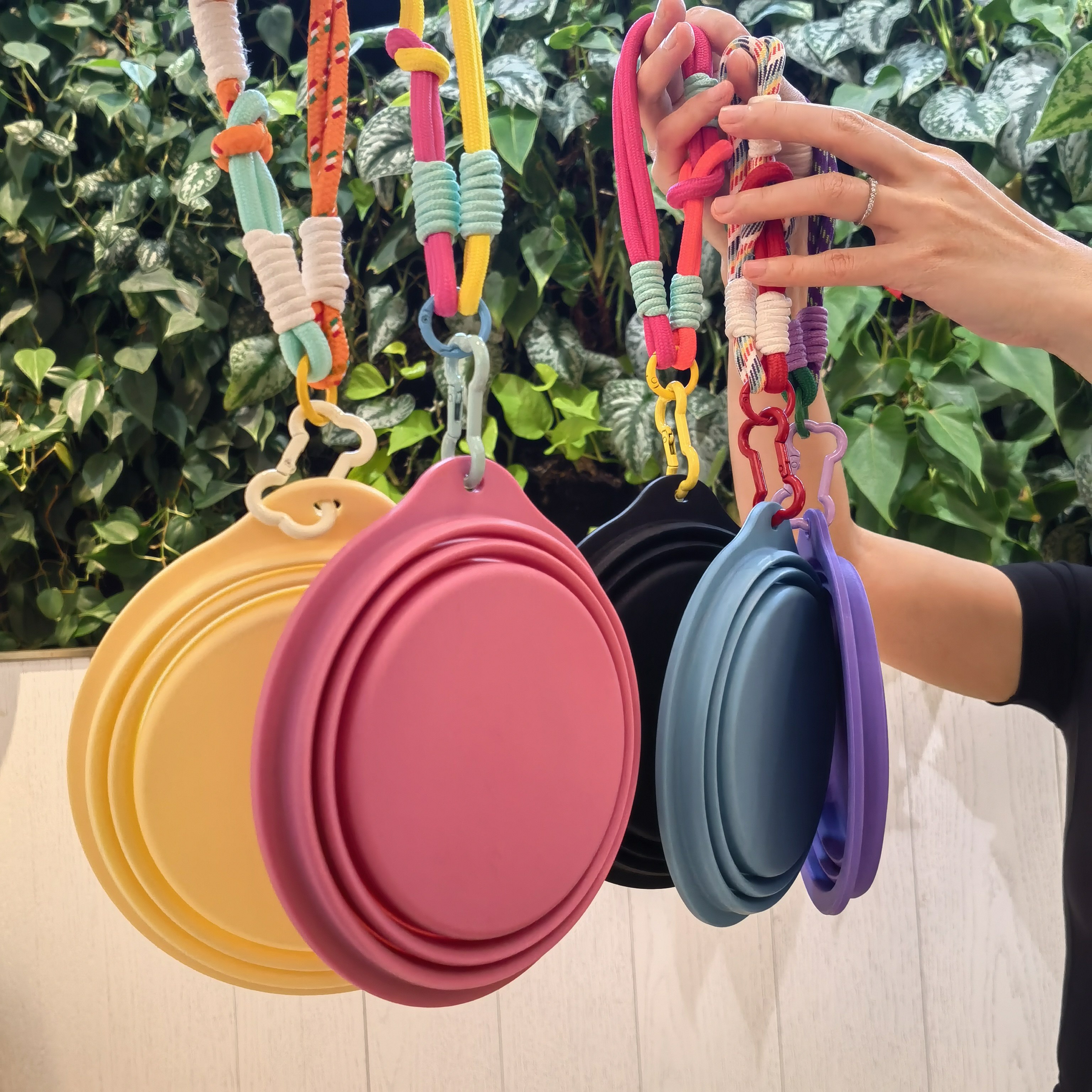 ins风硅胶折叠户外碗狗狗便携喝水碗宠物外出猫犬露营壶随行杯,宠物/宠物食品及用品,猫狗碗/慢食碗,淘宝优惠券,粉丝福利购,淘宝优惠卷