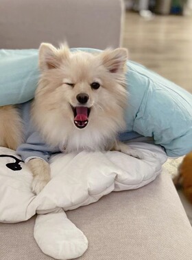 INS韩国夏季宠物凉感睡袋推车垫子狗窝天丝冰丝冰爽垫子宠物用品