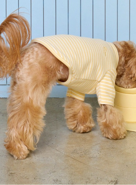 INS韩国日常猫狗睡衣保暖高领长袖德绒打底衫T恤冬装宠物服装用品