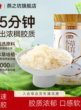 燕之坊古田本草银耳60g罐装甄选严选福建干货泡焖煮免泡发银耳羹