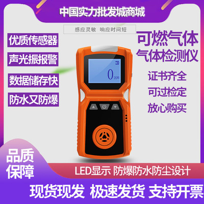 甲烷天然气便携式防爆型报警器