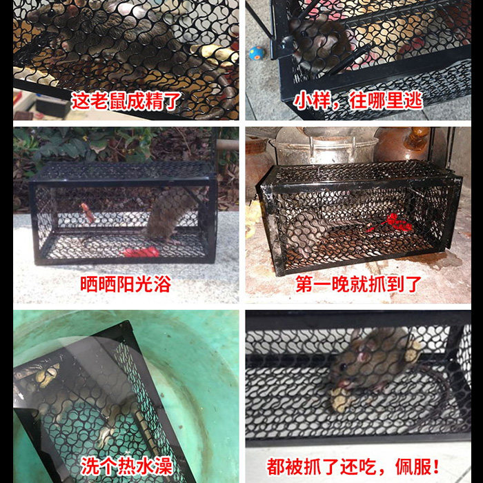쥐를 죽이기 위해 특별히 설계됨 초대형 쥐 케이지 인공물 대형 모델 쥐 케이지 완전 자동 쥐 케이지 마우스 천적 포획 인공물