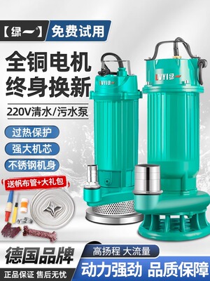 潜水泵220V小型污水泵家用抽水泵高扬程农用抽水机大流量灌溉排污
